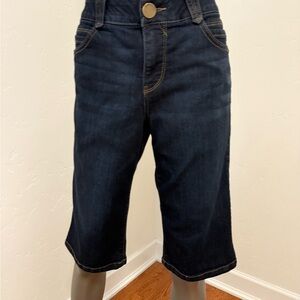 Democracy Ab Solution Blue Denim Bermuda Shorts Size 10‎